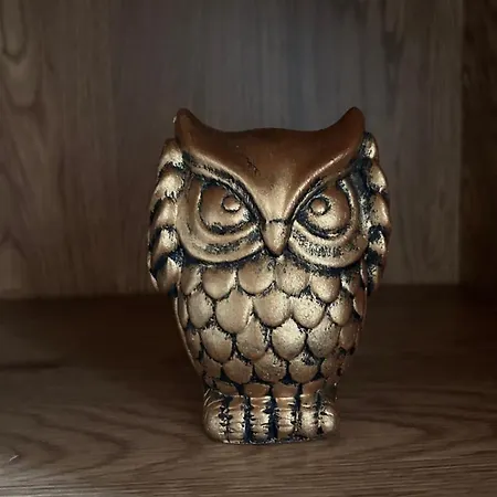 Cote Cour - Coeur Centre Historique Dijon