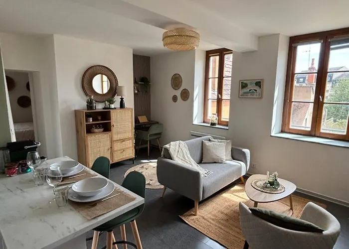 Daire Cote Cour - Coeur Centre Historique Dijon