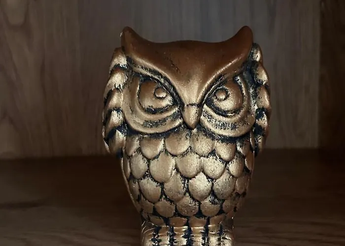 Cote Cour - Coeur Centre Historique Dijon