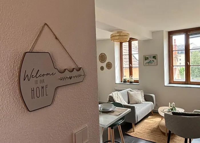 Daire Cote Cour - Coeur Centre Historique Dijon