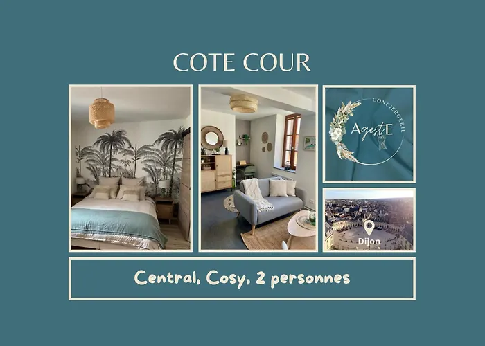 Cote Cour - Coeur Centre Historique * Dijon